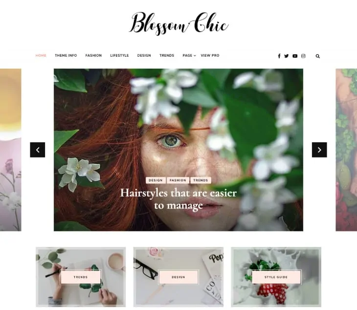 Blossom Chic WordPress Theme
