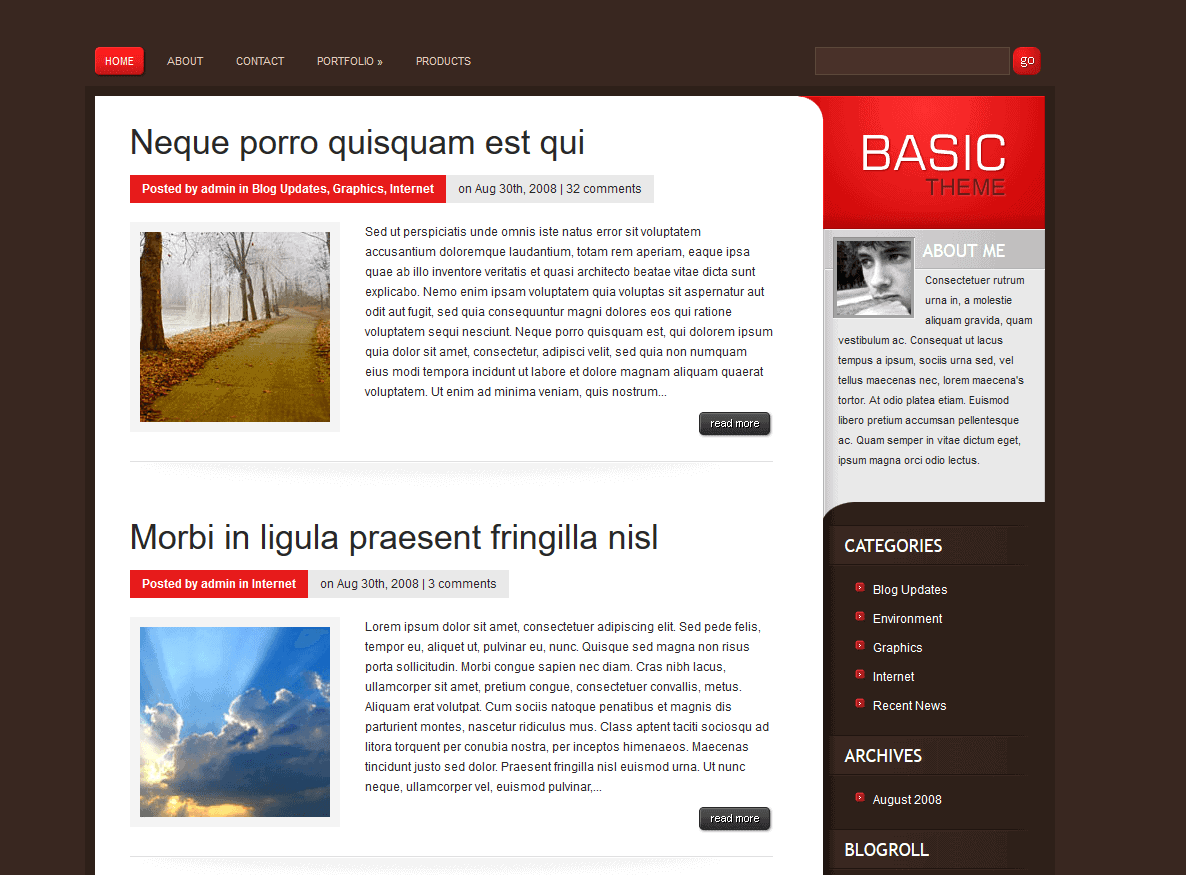 Blog WordPress theme