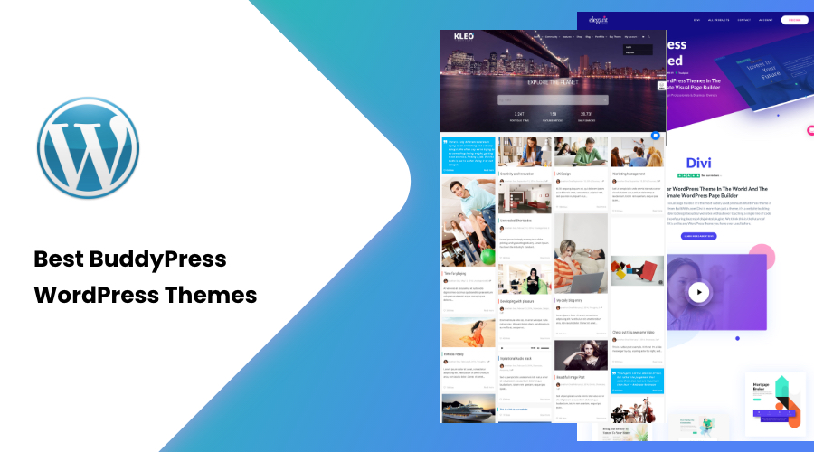 30+ Best BuddyPress WordPress Themes