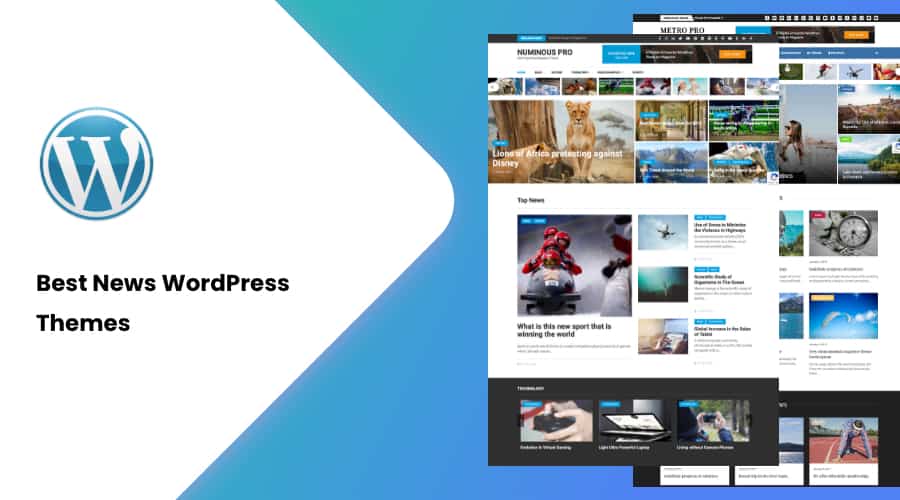 30+ Best News WordPress Themes