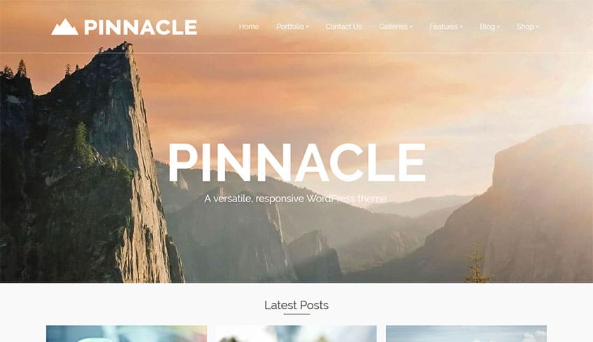 Pinnacle WordPress Theme