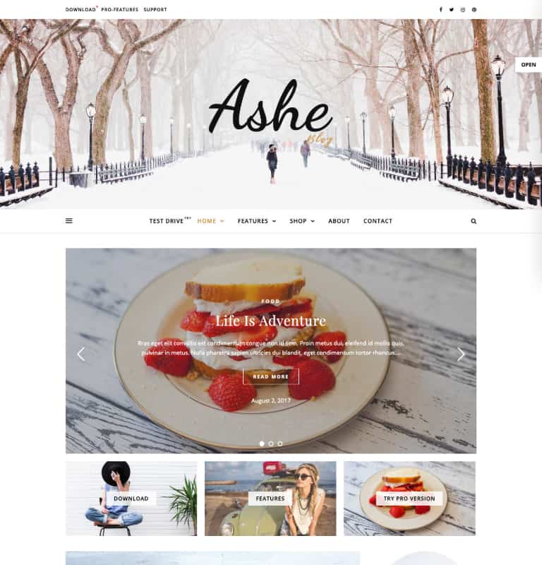 Ashe Free WordPress Theme