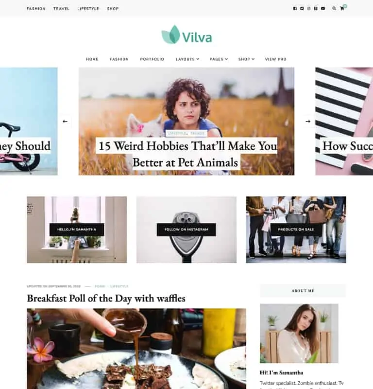 Vilva Theme WordPress Theme