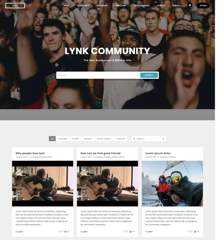 Lynk V2 WordPress Forum Theme