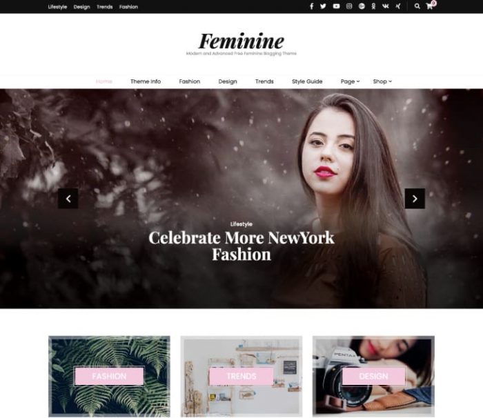 Blossom Feminine Free WordPress Theme