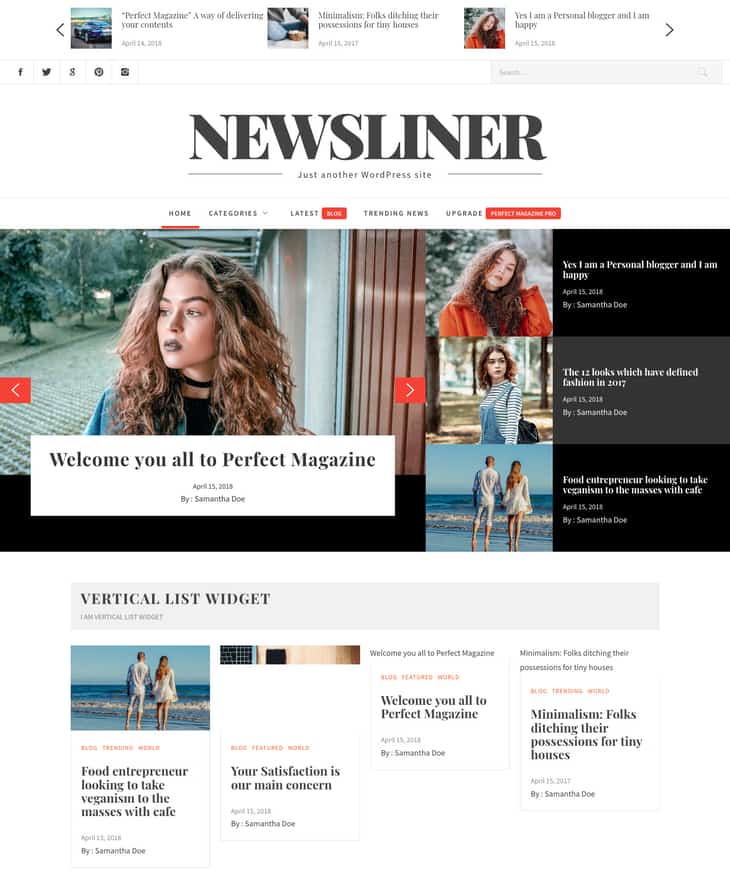 Newsliner WordPress Theme