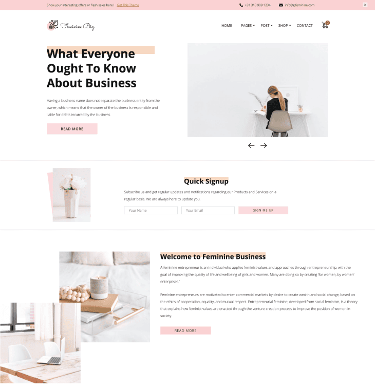 Feminine Business Theme