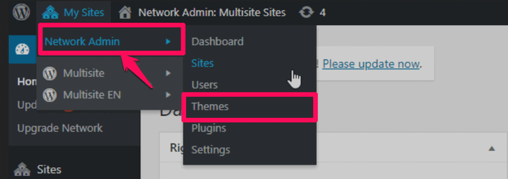 adding themes on the multisite network