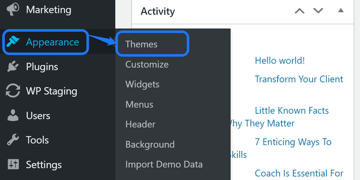 Pointing at the Themes button in the drop-down menu of Appearance option in WordPress’s sidebar