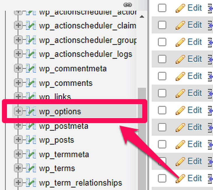 WP Options - Phpmyadmin
