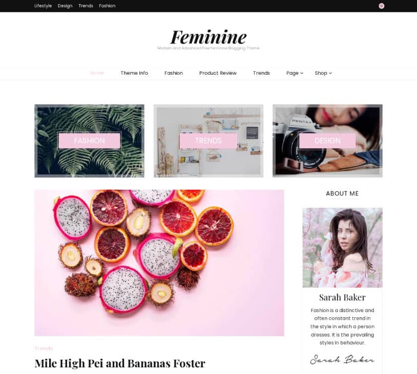 Feminine – Modern and Advanced Free Feminine Blogging Theme