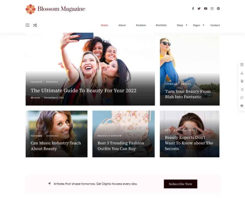 blossomthemesdemo.com_blossom-magazine_