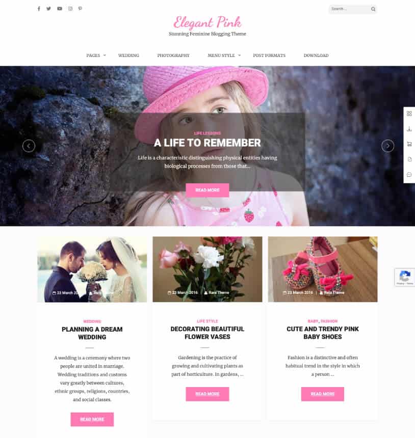rarathemesdemo.com_elegant-pink_