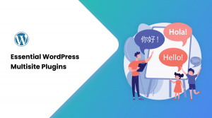 20 Essential WordPress Multisite Plugins in 2025