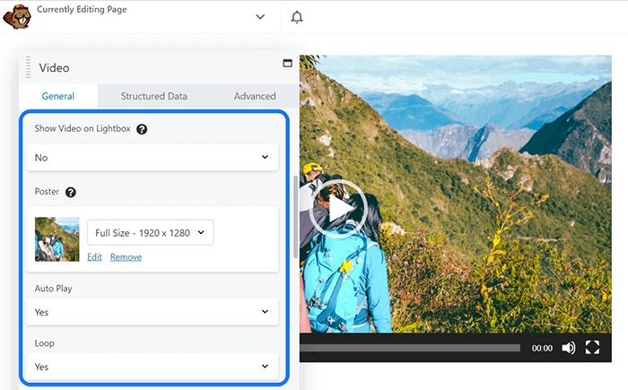 Highlighting some general video adjustments provided by Beaver Builder page builder