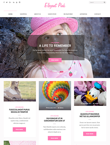 Elegant Pink WordPress Theme