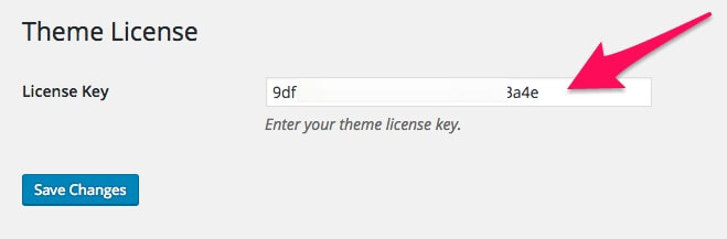 How to Activate Theme License 2