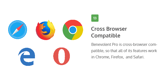 Cross-Browser Compatible of Benevolent Pro